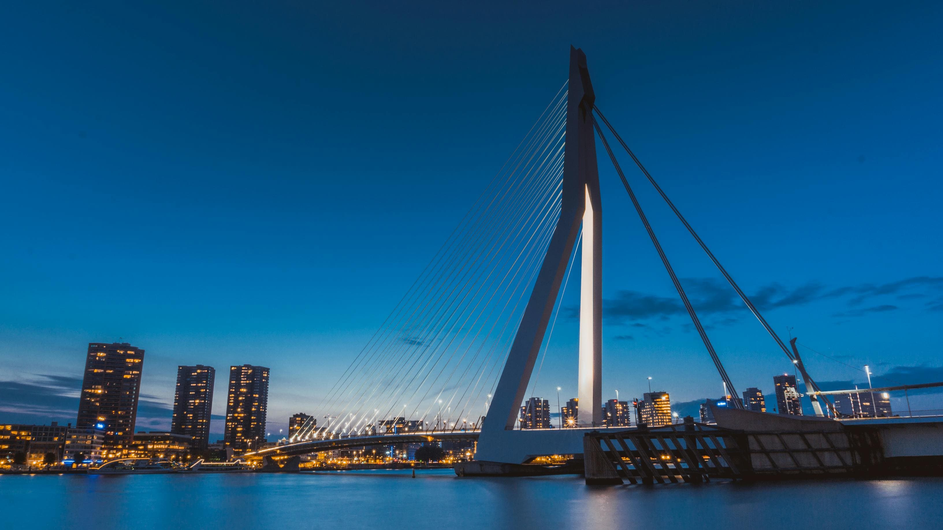 Rotterdam background